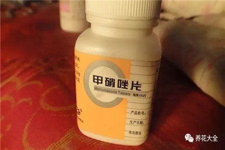 水培的水能养鱼吗