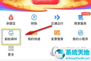 蚂蚁森林自定义弹幕别人能看到吗(支付宝蚂蚁森林如何设置弹幕)
