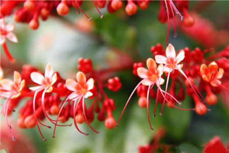 影响种子发芽率的原因是什么