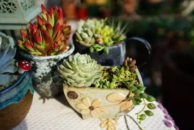 年代小日子过的真好笔趣阁