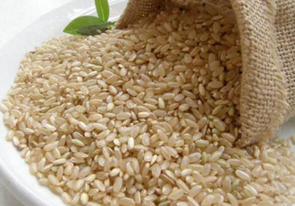 糙米能与小米起煮粥吗