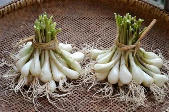 藠头有什么功效及作用藠头什么样的人不能吃(藠头的功效和作用)