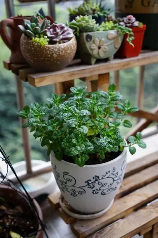 年代小日子过的真好笔趣阁