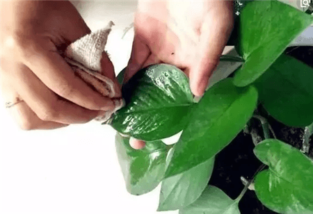 过期了的东西还能不能用?