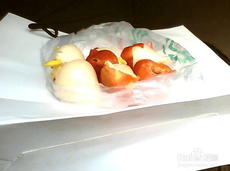 郁金香怎么种植方法图解