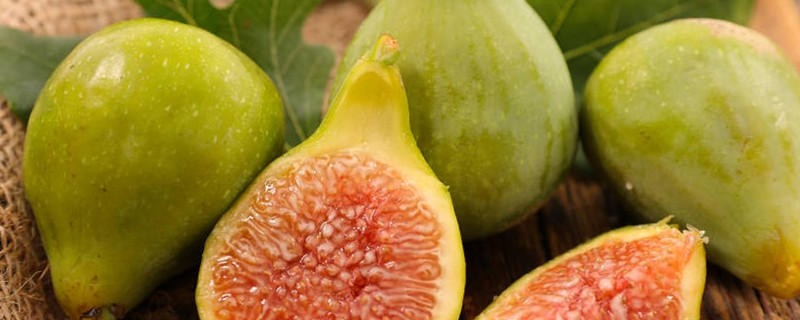 无花果有花吗无花果为什么叫无花果(无花果为什么被叫做无花果是因为没有花吗)