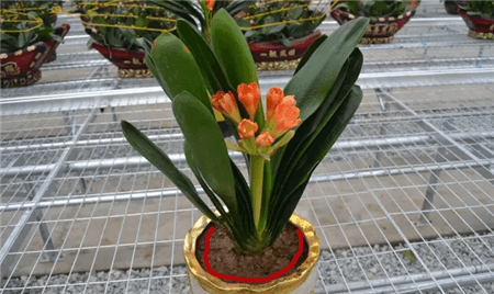 过期了的东西还能不能用?