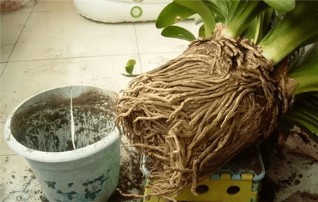 过期了的东西还能不能用?