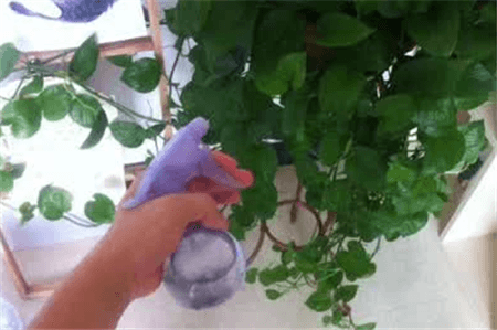 过期了的东西还能不能用?