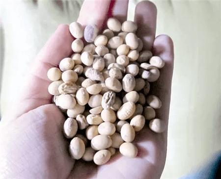 过期了的东西还能不能用?