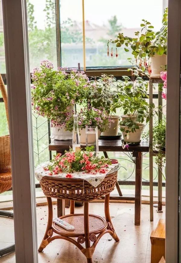 年代小日子过的真好笔趣阁