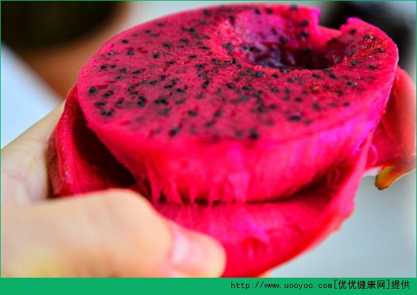 火龙果怎么种植火龙果种植盆栽方法介绍(火龙果种植盆栽方法视频教程)