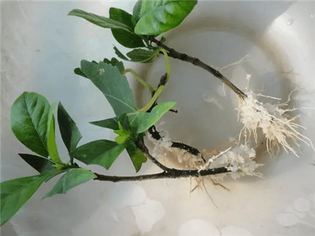 过期了的东西还能不能用?