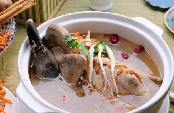 鸭肉是凉性还是热性性寒消水肿止热痢止咳化痰(鸭肉是凉性食物还是热性食物)