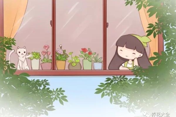 赚够100万我就辞职回家赏花喝茶过自己的小日子！(年代小日子过的真好笔趣阁)