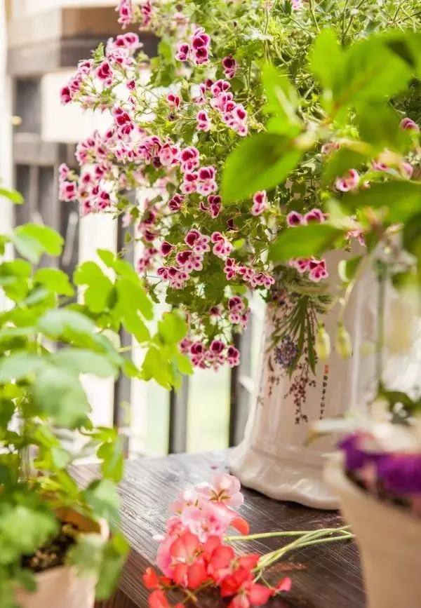 年代小日子过的真好笔趣阁