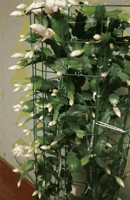 过期了的东西还能不能用?