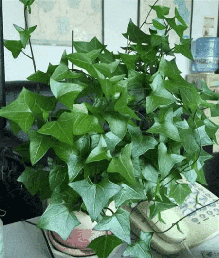 过期了的东西还能不能用?