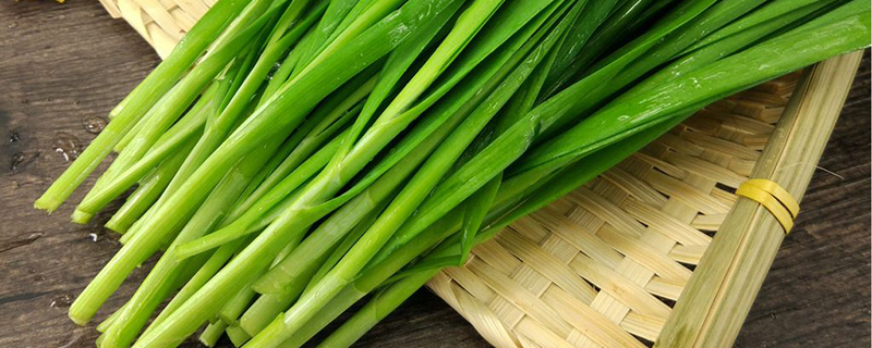 可反复采摘的蔬菜有哪些(可以反复采摘的蔬菜有哪些)