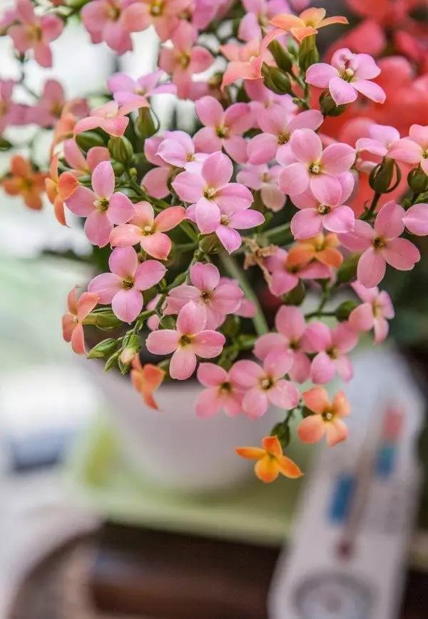 年代小日子过的真好笔趣阁