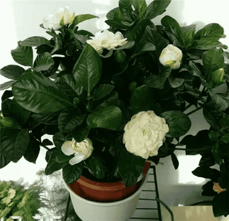 过期了的东西还能不能用?