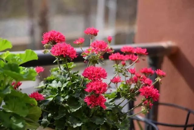 年代小日子过的真好笔趣阁