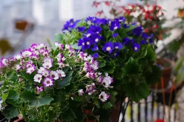 年代小日子过的真好笔趣阁