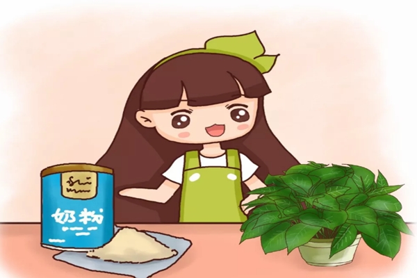 过期东西先别扔稍微一处理让家里的花蹭蹭长！(过期了的东西还能不能用?)