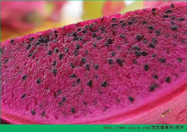 火龙果种植盆栽方法视频教程