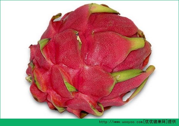 火龙果种植盆栽方法视频教程