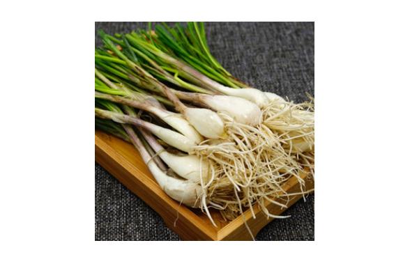 藠头的功效和作用