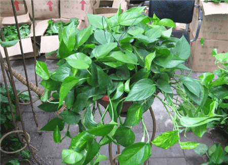 过期了的东西还能不能用?