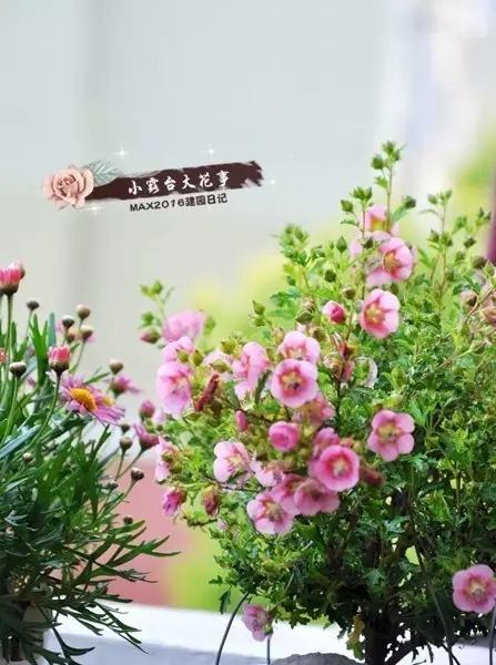 年代小日子过的真好笔趣阁