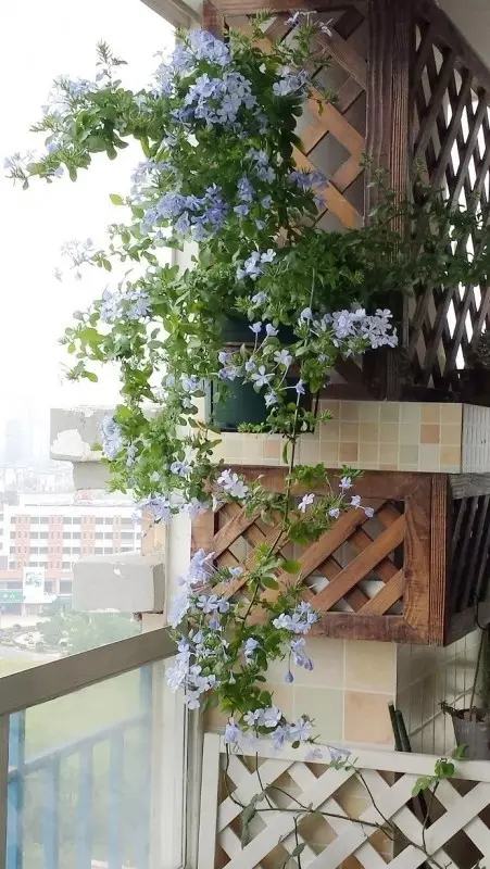 年代小日子过的真好笔趣阁