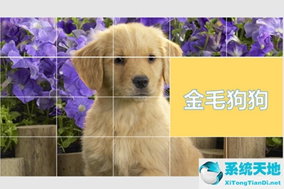 ppt表格做成图表(ppt的表格怎么做)