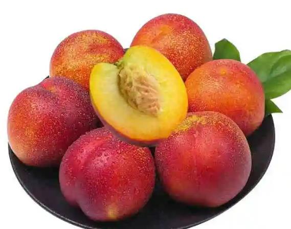 怀孕吃油桃会上火吗