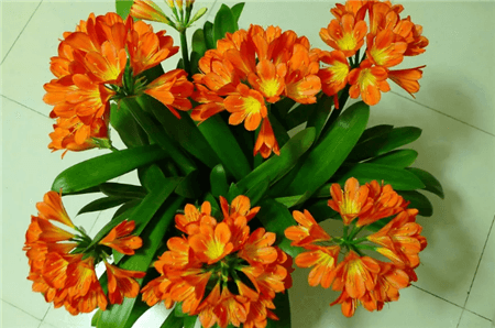 过期了的东西还能不能用?