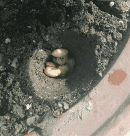 过期了的东西还能不能用?