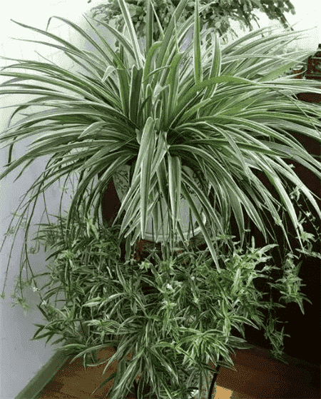 过期了的东西还能不能用?