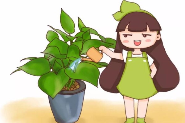 浇花掺点小东西绿萝文竹…长疯了呼呼直蹿20米！(文竹绿萝可以一起放在卧室吗)