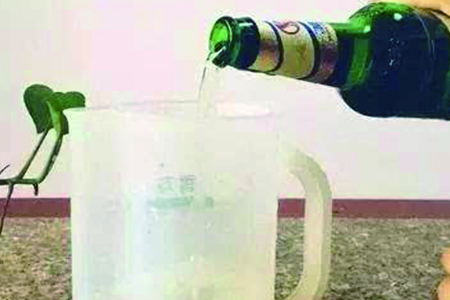 栀子花用什么水浇最好养活