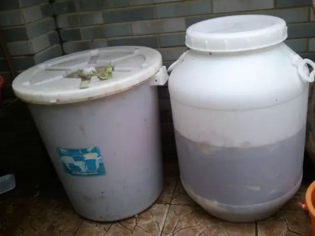 秋天什么花盛开的最好