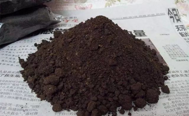 秋天什么花盛开的最好