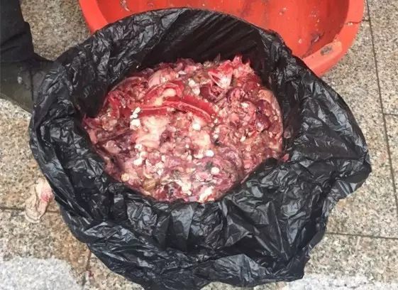 秋天什么花盛开的最好