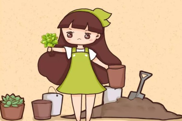 秋天一个小动作花多活10年越早知道越好！(秋天适合种什么花)