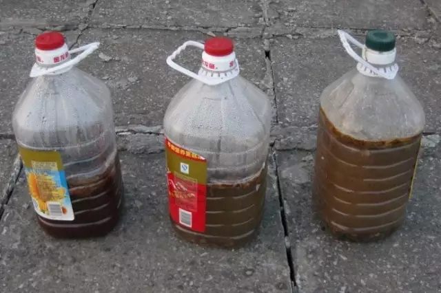 秋天什么花盛开的最好