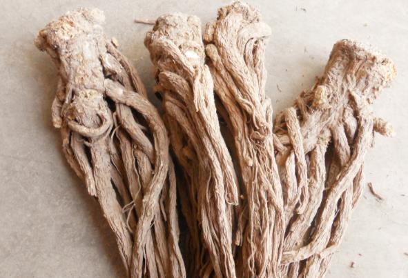 当归泡水可以天天喝吗喝当归水注意什么(当归可以每天泡水喝吗?)