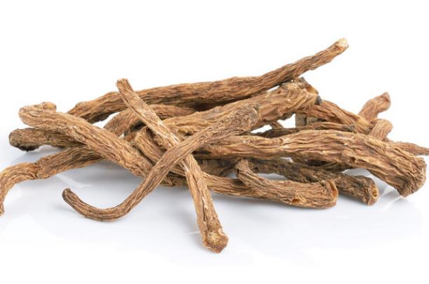 当归可以每天泡水喝吗?