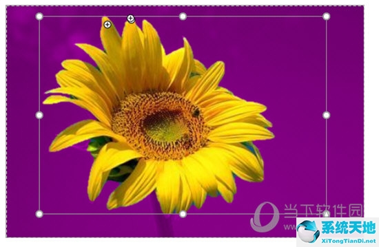 ppt里如何抠图(ppt怎么抠图 操作简单一看就会变色)