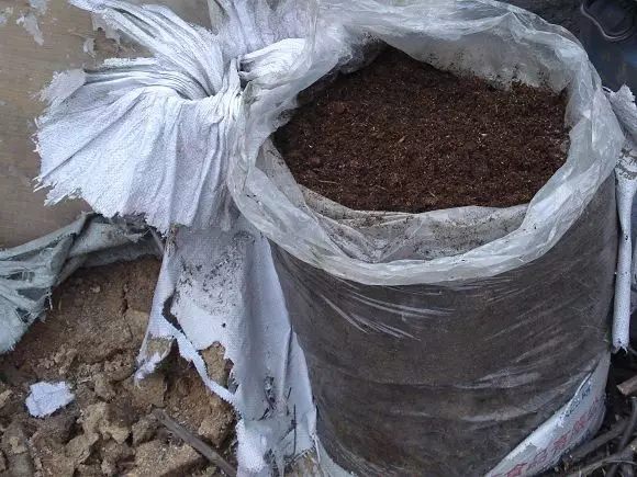 秋天什么花盛开的最好